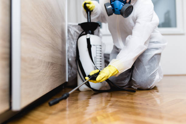 Best Pest Control Near Me in Maricopa, CA