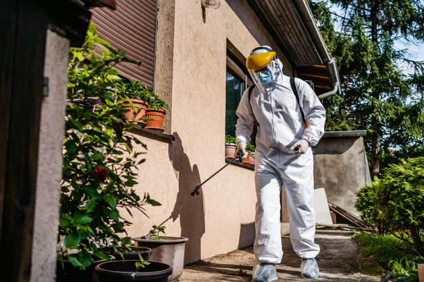 Best Wasp Removal Services  in Maricopa, CA
