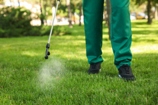 Best Pest Removal Services  in Maricopa, CA