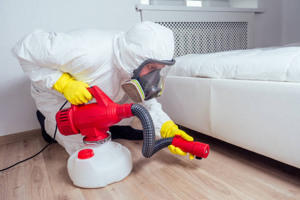 Wasp Removal Services in Maricopa, CA