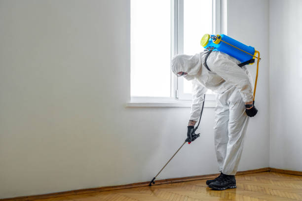 Best Pest Control Near Me  in Maricopa, CA