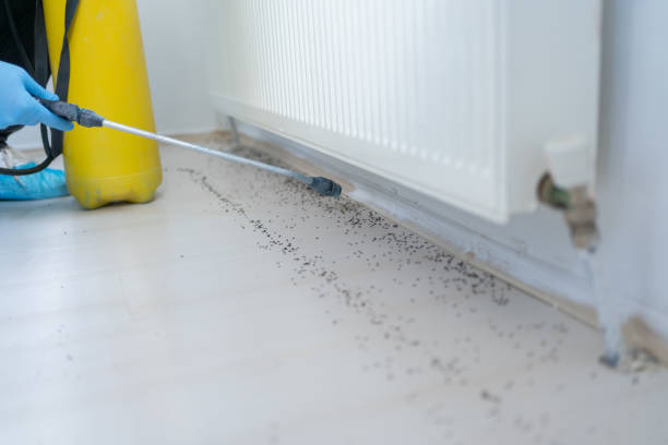 Best Cockroach Control Services  in Maricopa, CA