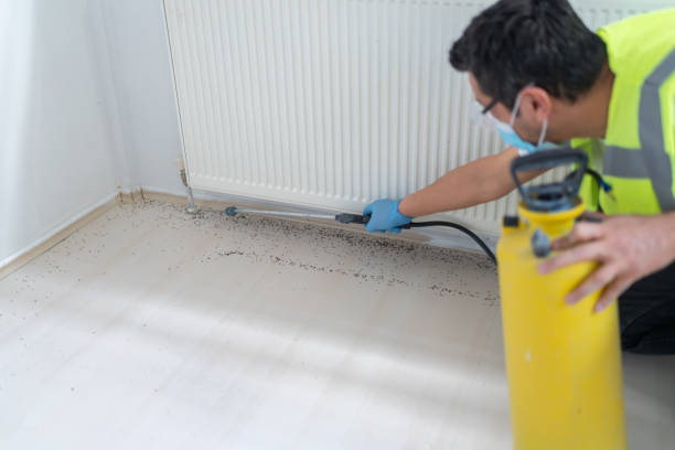 Best Wasp Removal Services  in Maricopa, CA