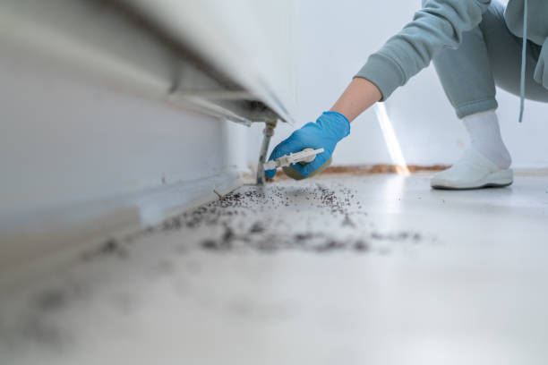 Best Exterminator Services  in Maricopa, CA